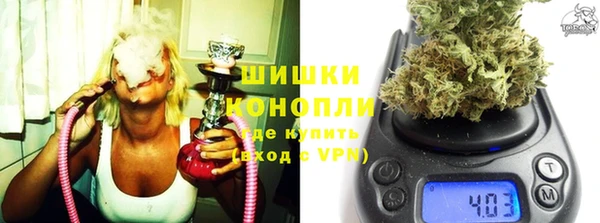шишки Покачи