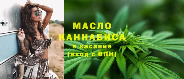 шишки Покачи