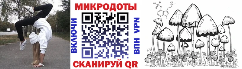 где продают наркотики  Сергач  Галлюциногенные грибы прущие грибы 