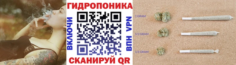 Бошки Шишки планчик  hydra   Сергач 
